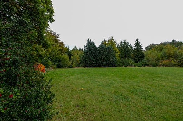 Medium property photo - Groningerstraat 12, 9481 AT Vries